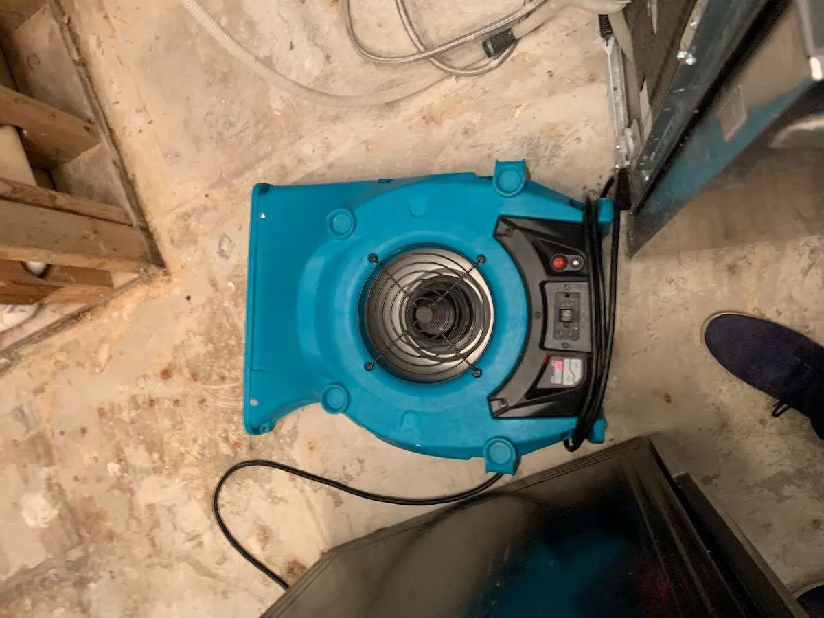 Air mover drying equipment for Mold Remediation & Removal in Irmo